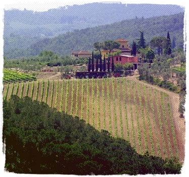 Azienda Agricola Marchionni