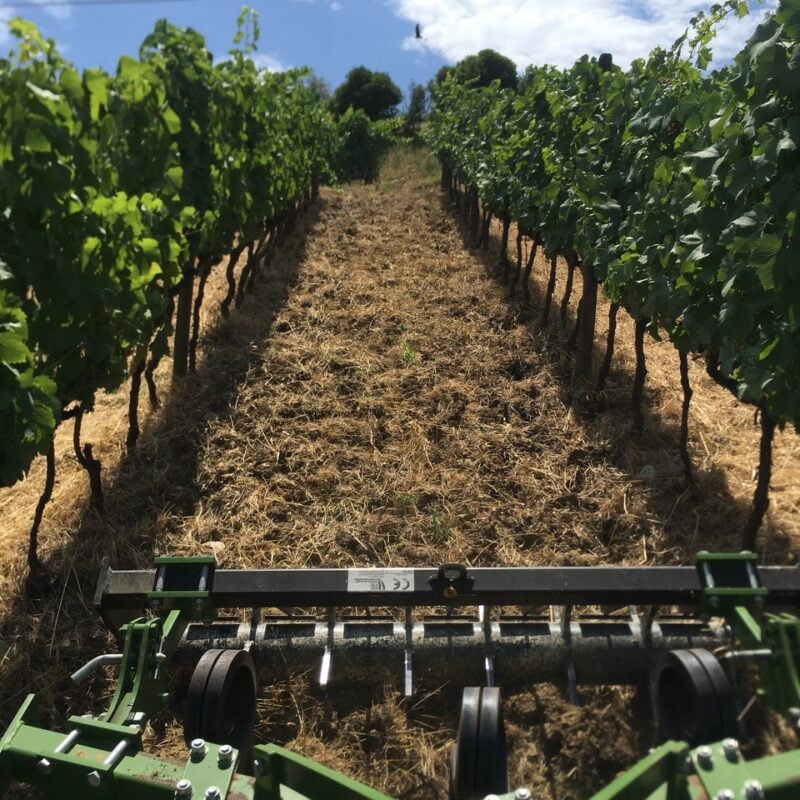 Azienda Agricola Marchionni